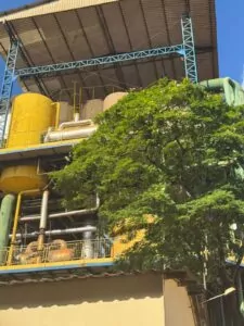 whatsapp image 2025 11 06 at 17.34.02 (1)